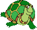 Turtle cartoon