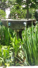 Fountain with Water Plants